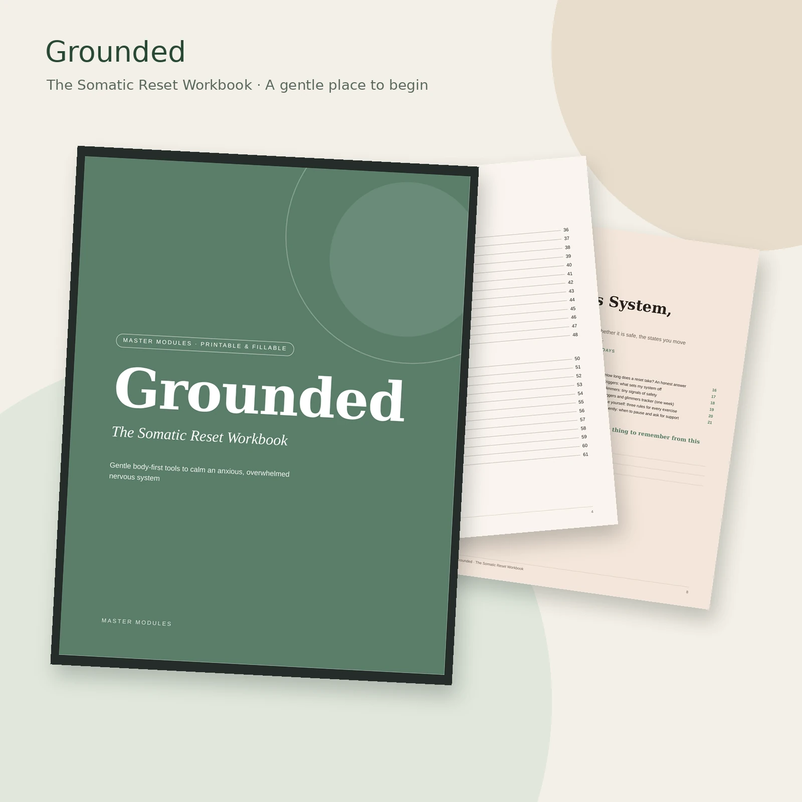 Grounded — The Somatic Reset Workbook